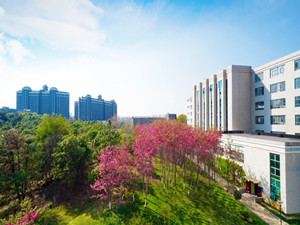 云南工商学院五年制大专