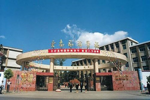 云南旅游职业学院五年制大专