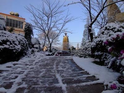 昆明市官渡区二中