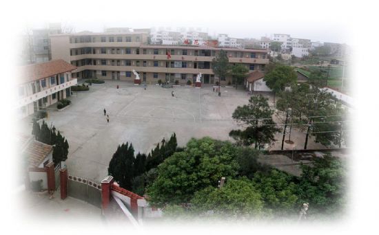 华新中心小学