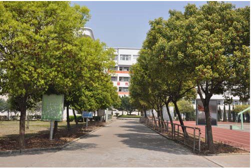 温州市平阳县新鳌高级中学