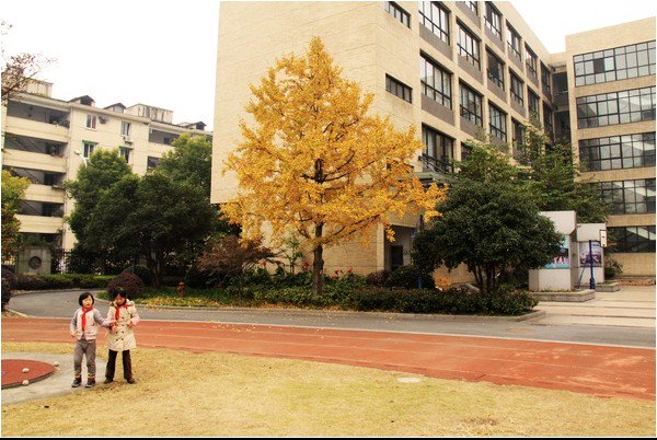 杭州市金都天长小学