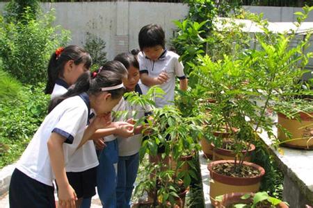 东莞市东城第八小学
