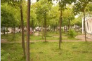 耒阳市一中