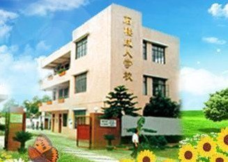 广州市番禺区石楼镇大岭小学