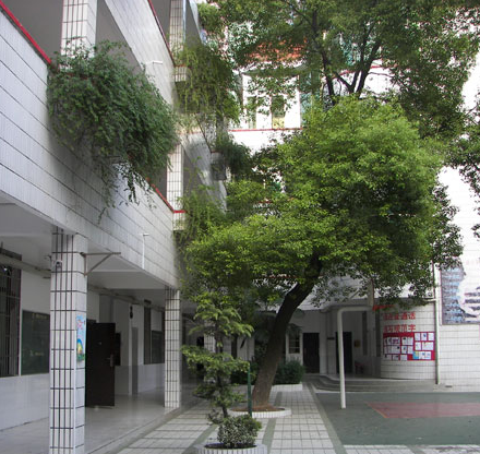 长沙市八一路小学