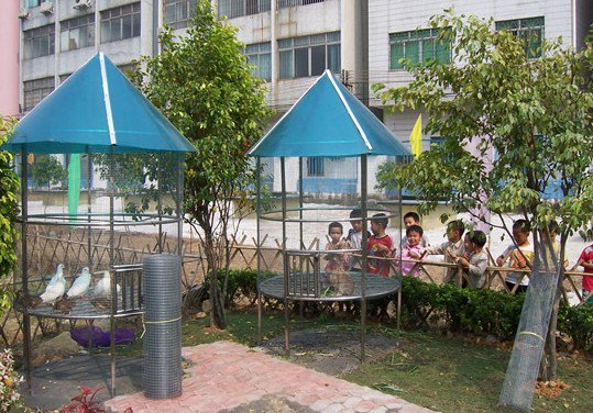 广州市南沙区金洲小学