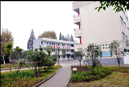 武汉市东西湖区友谊小学