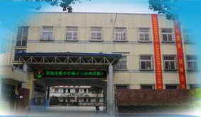 南京市扬子第三小学(扬子三小)