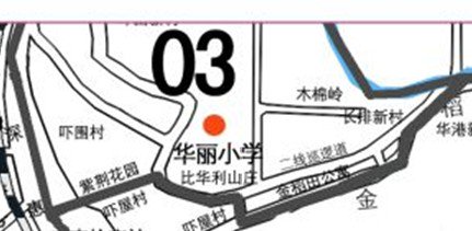 深圳市罗湖区华丽小学