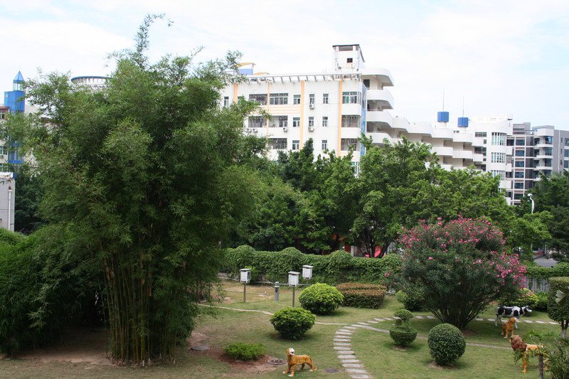 深圳市弘雅小学