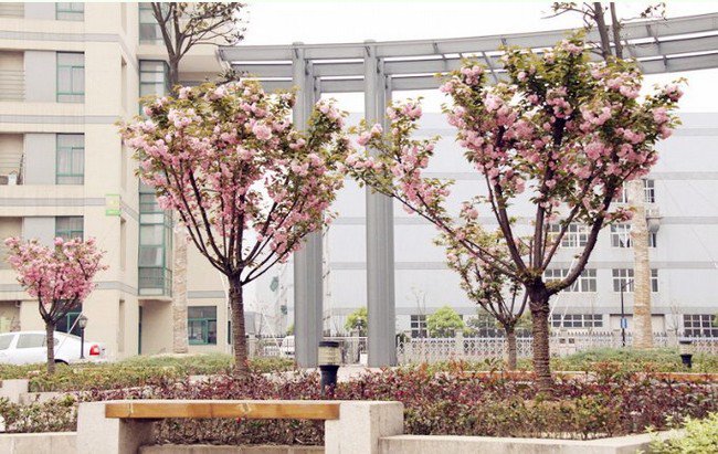 杭州师范大学东城实验学校