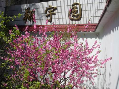南京市考棚小学