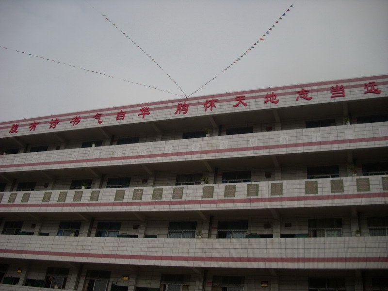 鼎湖区实验中学