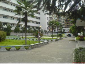 南京市燕子矶中学