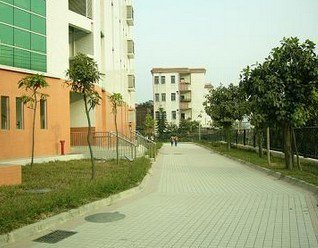 广州市萝岗区联和小学