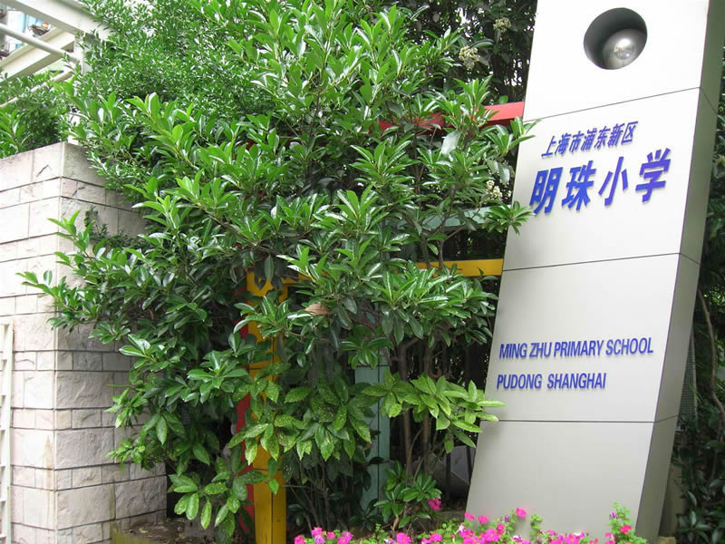 上海市浦东新区明珠小学A区