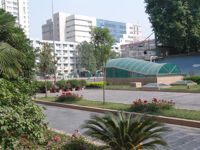 郑州市八中