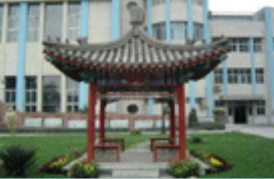 北京小学本部