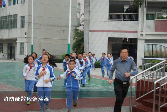 深圳市龙岗区振新小学
