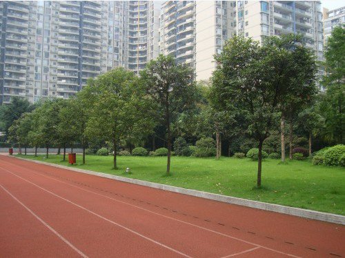 重庆市东和春天实验学校