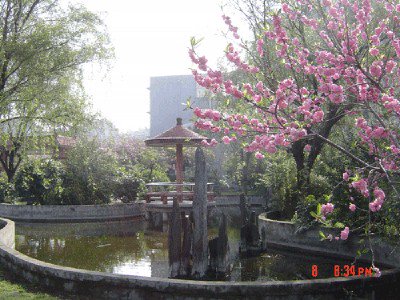宁波市雅戈尔小学