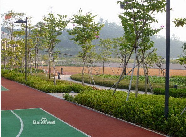 深圳市平湖凤凰山小学