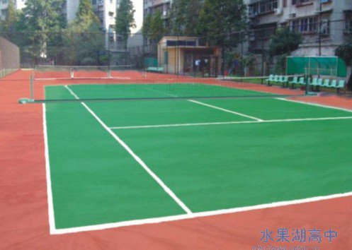 武汉市水果湖高级中学
