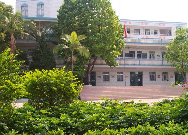 深圳市龙岗区梧桐学校小学部
