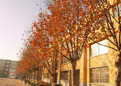 济南市商河弘德中学(高中部)