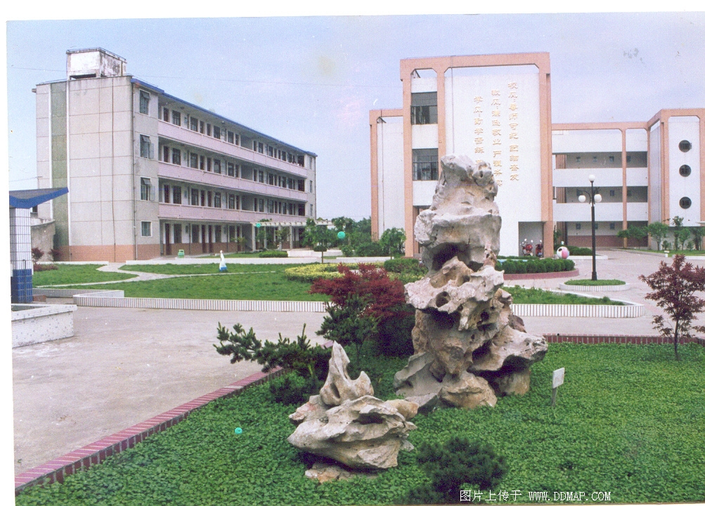 黄楼中学