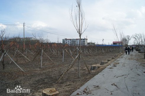 梅河口市四中
