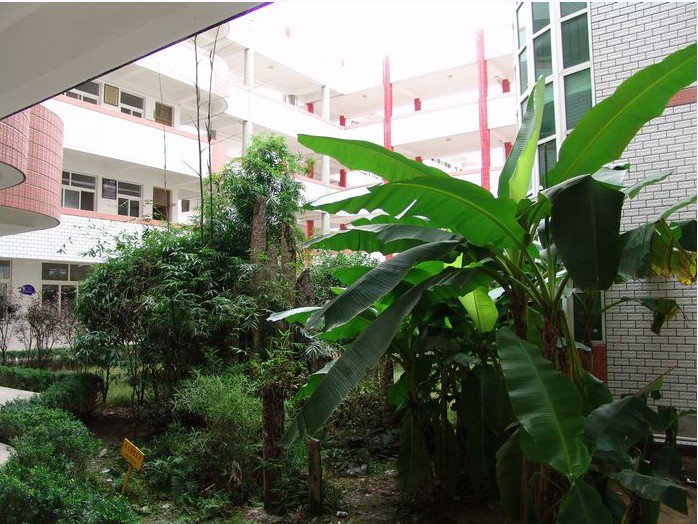 温州市永嘉县少年艺术学校