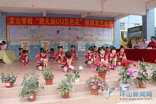 深圳市坪山新区龙山学校