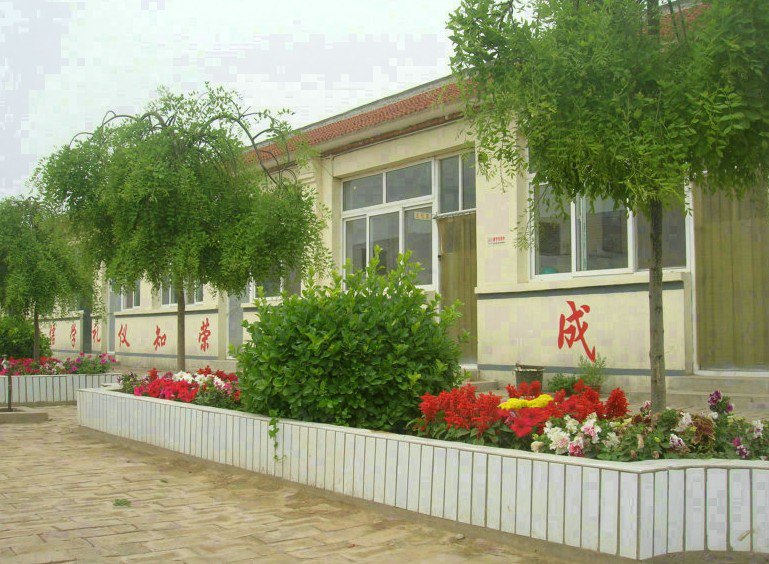 天津市八道沽中心小学