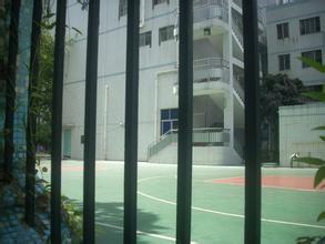 深圳市福田区景莲小学