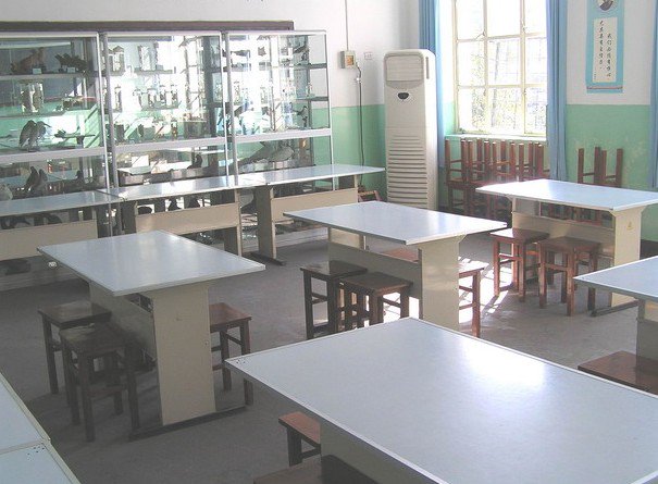 魏良庄完全小学