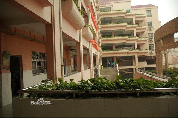 深圳市松岗中学（文存贵纪念中学）