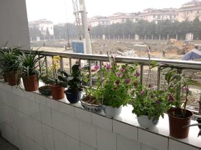 成都市蜀汉外国语实验小学