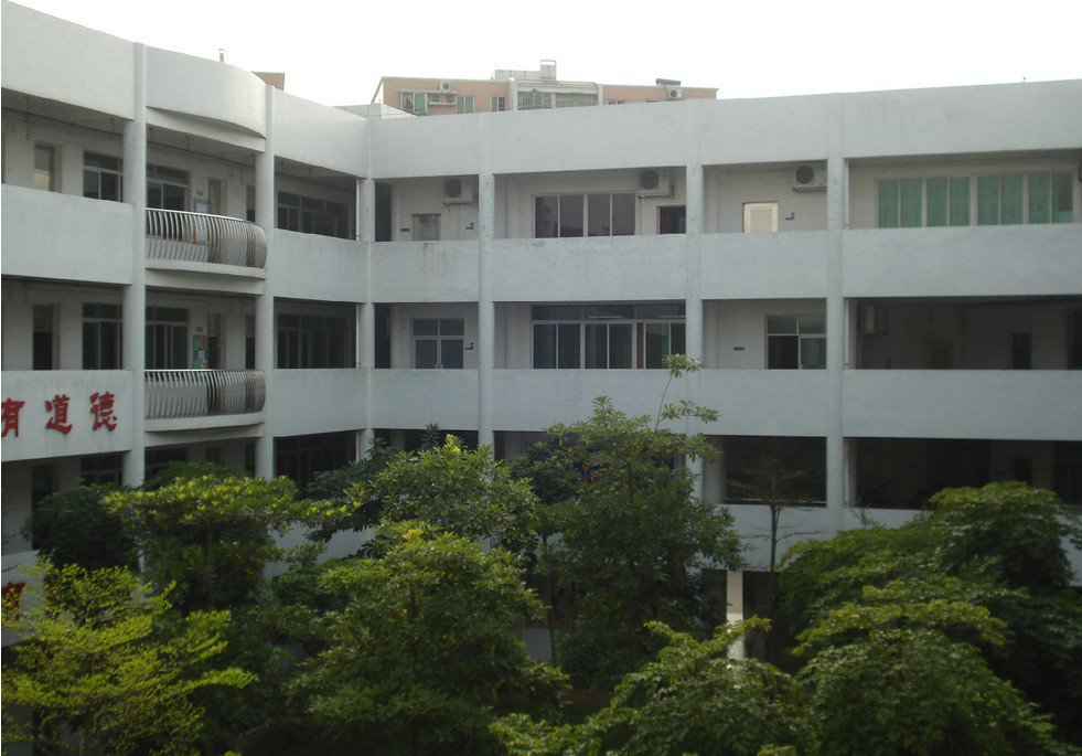 广州市番禺区钟村中心小学