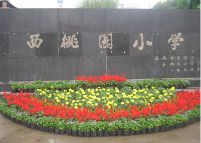 西桃园小学
