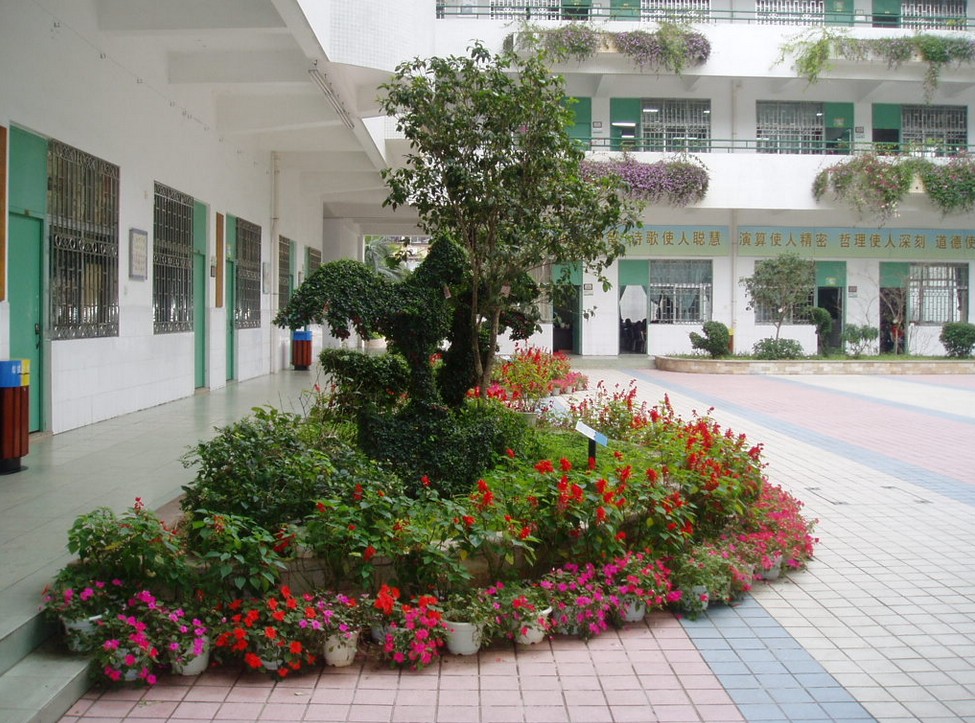 深圳市宝安区公明镇下村小学