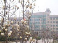 正定县一中