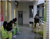 肇庆市加美学校（中学部）