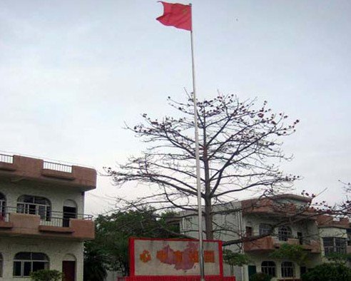 东莞市谢岗黎村小学