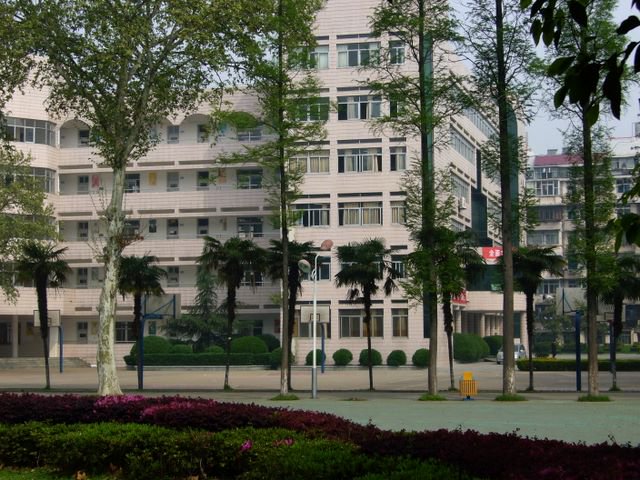 武汉市第十一中学